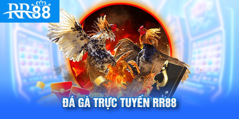 Những sảnh game đá gà uy tín tại RR88